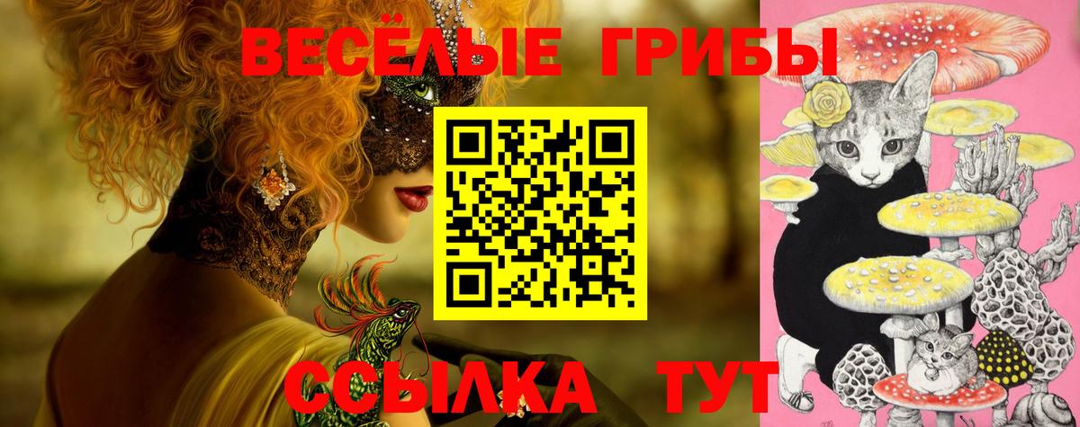 Псилоцибиновые грибы Cubensis  Вход с VPN  Мирный 