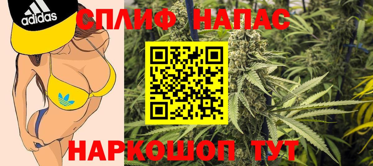 Мирный  МАРИХУАНА White Widow  Бошки Шишки Ganja  Конопля конопля  МАРИХУАНА тримм  Вход с VPN 